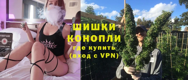 стаф Пересвет