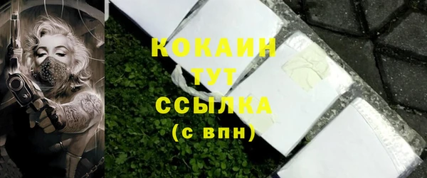 стаф Пересвет