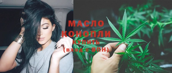 стаф Пересвет