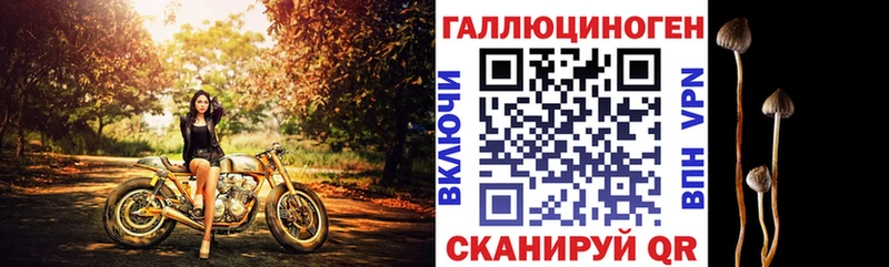 Галлюциногенные грибы ЛСД сколько стоит Лесозаводск