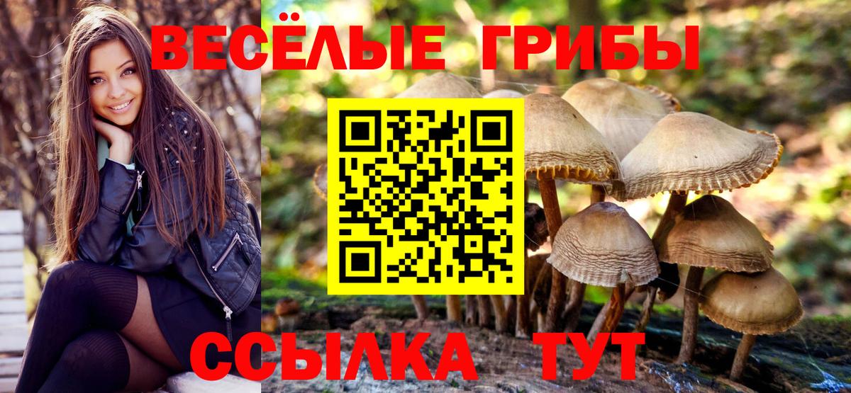 Галлюциногенные грибы прущие грибы Лесозаводск