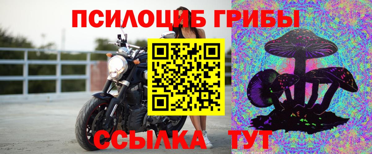 Псилоцибиновые грибы Magic Shrooms  Псилоцибиновые грибы MAGIC MUSHROOMS  Лесозаводск  Вход с VPN 